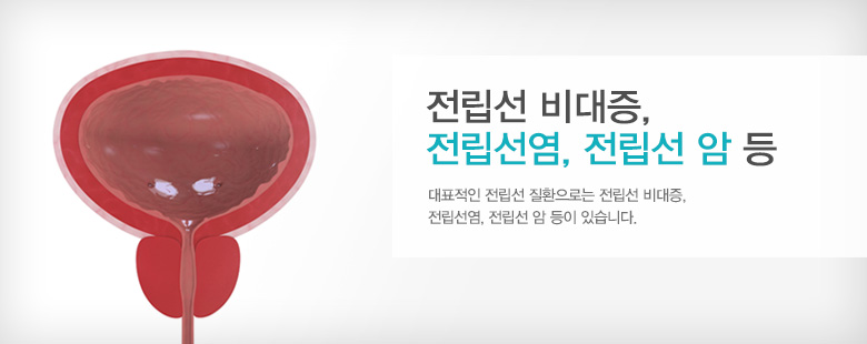 전립선 비대증, 전립선염, 전립선 암 등